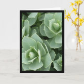 Groene Bloemen - Lied van de Zon. 8:7 Wenskaart Kaart (Gele Bloem)