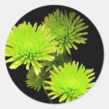 Groene bloemen