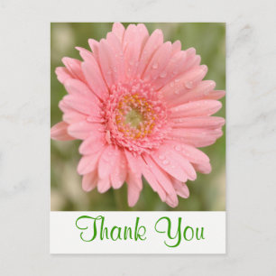 Groene Bloemige Roze Gerbera Tulp Dank Je Wel Bloe Briefkaart