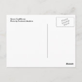 Groene bloemkool briefkaart (Achterkant)