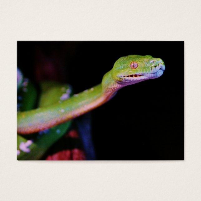 Groene Boa Stretching Visitekaartjes (Voorkant)
