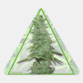 Groene Bob Stickers (20) (Voorkant)