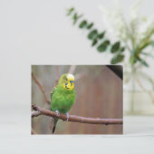  groene boedgie foto briefkaart (Staand voorkant)