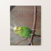  groene boedgie foto legpuzzel (Verticaal)