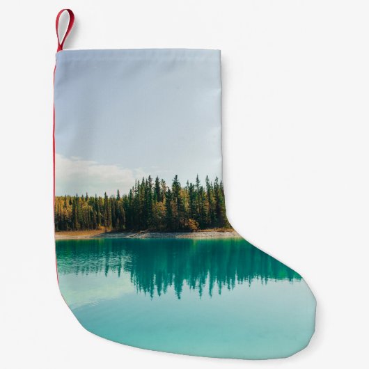 GROENE BOMEN BESTE LICHAAM WATER TIJDENS DE DAG KLEINE KERSTSOK (Voorkant)