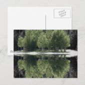 Groene bomen briefkaart (Voorkant / Achterkant)
