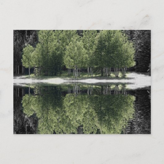 Groene bomen briefkaart (Voorkant)