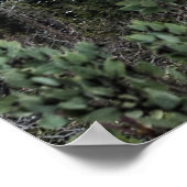 GROENE BOMEN NEAU MOUNTAIN ONDER CLOUDIE SKY TIJDE POSTER (Hoek)