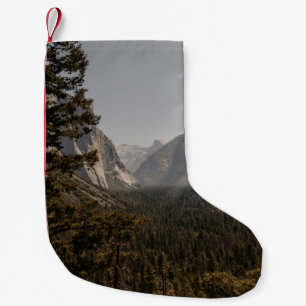 GROENE BOMEN NEAU MOUNTAIN TIJDENS DE DAG KLEINE KERSTSOK