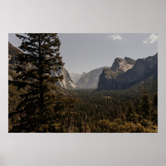 GROENE BOMEN NEAU MOUNTAIN TIJDENS DE DAG POSTER (Voorkant)