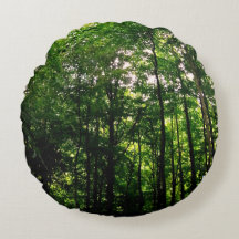 Groene bomen