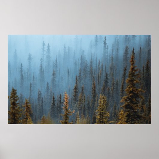 GROENE BOMEN TIJDENS DE DAG POSTER (Voorkant)