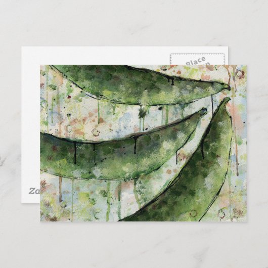 Groene Bonen Drie Briefkaart (Voorkant / Achterkant)