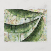 Groene Bonen Drie Briefkaart (Voorkant)