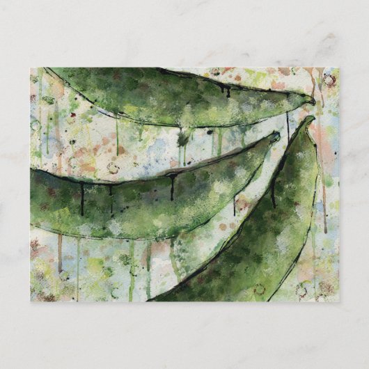 Groene Bonen Drie Briefkaart (Voorkant)