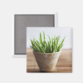 Groene bonen in pot op bamboe magneet (Voorkant / Achterkant)