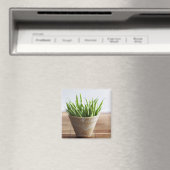 Groene bonen in pot op bamboe magneet (Insitu (Vaatwasser))