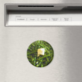 Groene Bonen Magneet (Insitu (Vaatwasser))