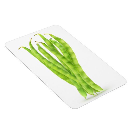 Groene bonen magneet (Rechterzijde)