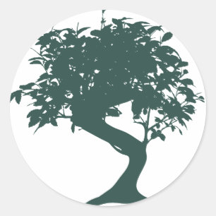 Groene Bonsai Tree Sticker