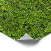 Groene Boom Achtergrond Canvas of Poster (Hoek)