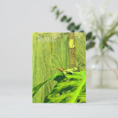 Groene boom Australische kikker Briefkaart (Staand voorkant)