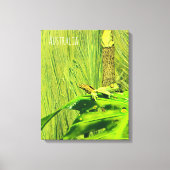 Groene boom Australische kikker Canvas Afdruk (Voorkant)