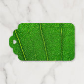 Groene Boom Blad Cadeaulabels (Achterkant (horizontaal))