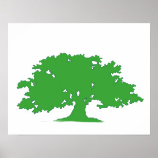 Groene boom poster