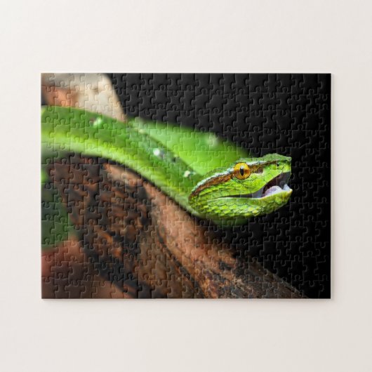 Groene boom Python, Jigzaag Puzzle Legpuzzel (Horizontaal)