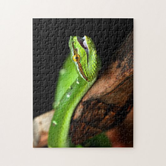 Groene boom Python, Jigzaag Puzzle Legpuzzel (Verticaal)