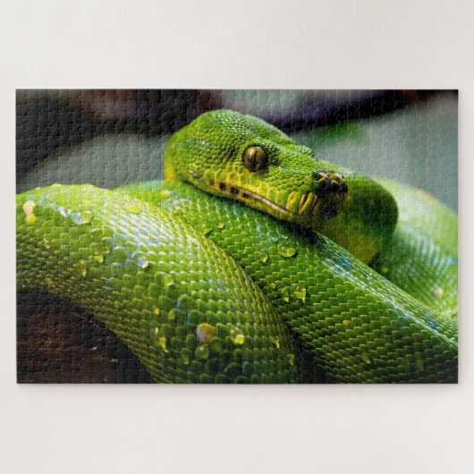 Groene boom Python, Jigzaag Puzzle Legpuzzel (Horizontaal)