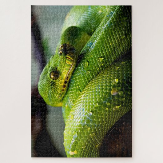 Groene boom Python, Jigzaag Puzzle Legpuzzel (Verticaal)