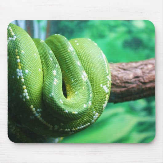 Groene boom Python Mousepad Muismat (Voorkant)