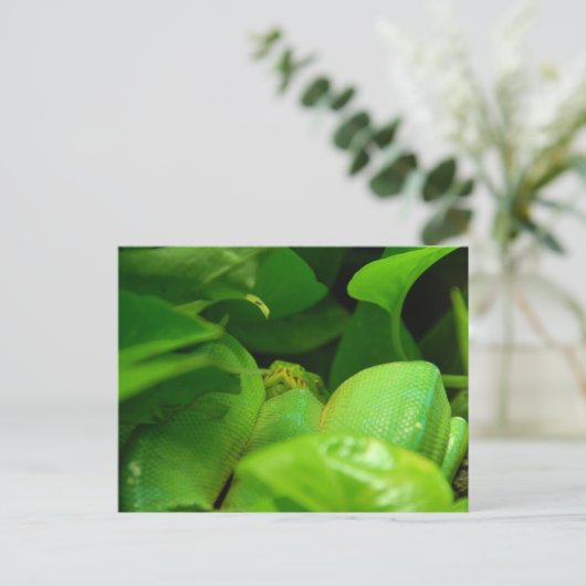 groene boom python slang briefkaart (Staand voorkant)
