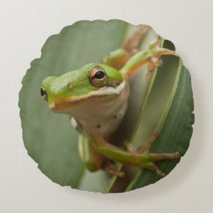 Groene boomkikker 2 zijkant rond kussen