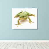 Groene boomkikker canvas afdruk (Insitu (Houten vloer))