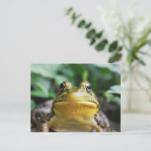Groene Boomkikker Close-Up Briefkaart (Staand voorkant)