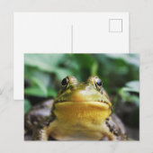 Groene Boomkikker Close-Up Briefkaart (Voorkant / Achterkant)