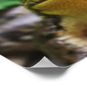 Groene Boomkikker Close-Up Poster (Hoek)