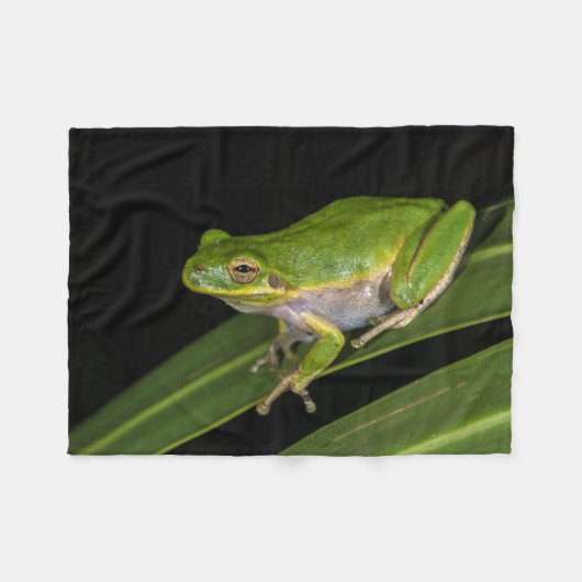 Groene Boomkikker (Hyla cinerea) 2 Fleece Deken (Voorkant (Horizontaal))