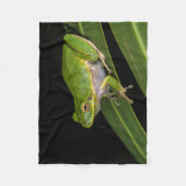 Groene Boomkikker (Hyla cinerea) 2 Fleece Deken (Voorkant)