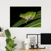 Groene Boomkikker (Hyla cinerea) 2 Poster (Thuiskantoor)