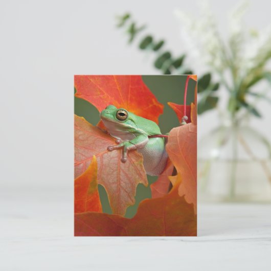 Groene boomkikker in Herfst Briefkaart (Staand voorkant)