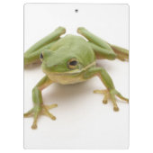 Groene boomkikker klembord (Achterkant)
