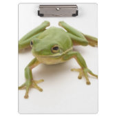 Groene boomkikker klembord (Voorkant)