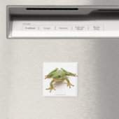 Groene boomkikker magneet (Insitu (Vaatwasser))