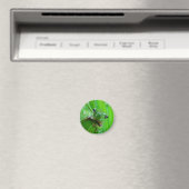 Groene Boomkikker Magneet (Insitu (Vaatwasser))