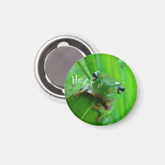 Groene Boomkikker Magneet (Voorkant / Achterkant)
