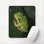 Groene boomkikker Mousepad Muismat (Met muis)